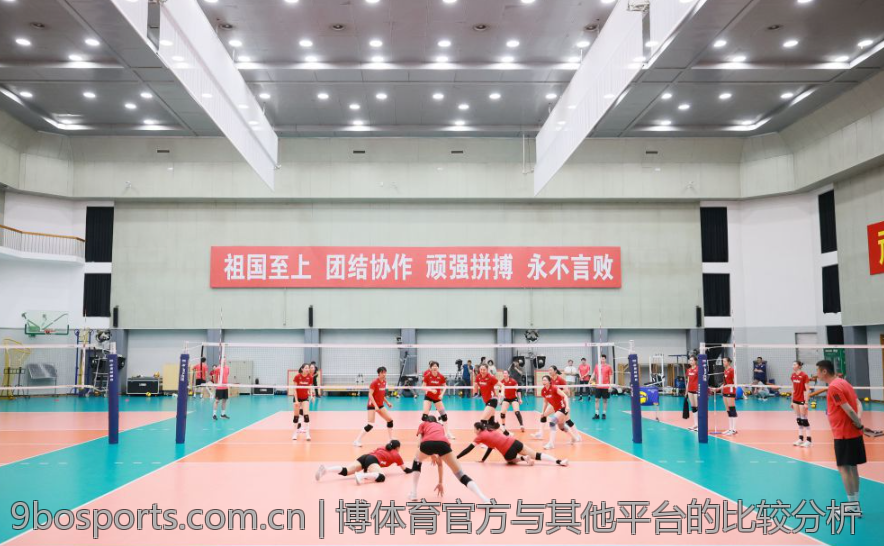 博体育官方与其他平台的比较分析